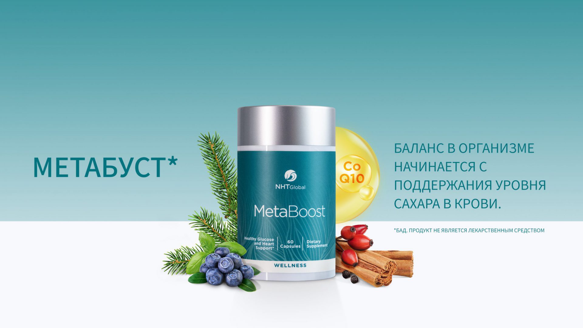 MetaBoost-MAIN-BANNER